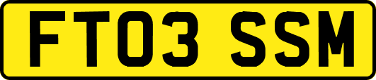 FT03SSM