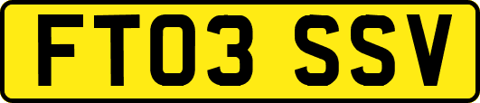 FT03SSV