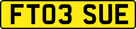 FT03SUE