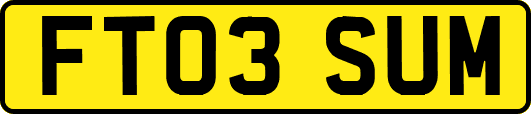 FT03SUM