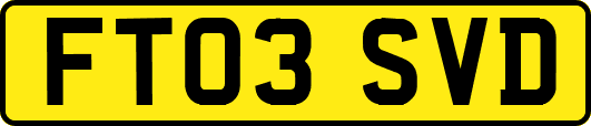 FT03SVD