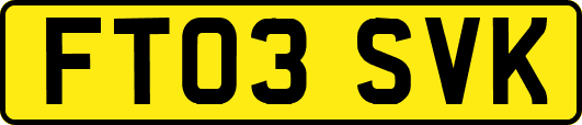 FT03SVK