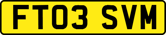 FT03SVM