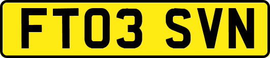 FT03SVN