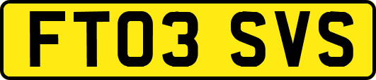 FT03SVS