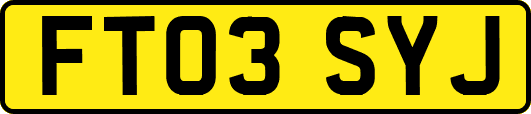 FT03SYJ