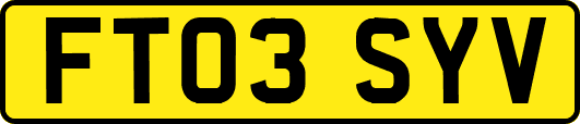 FT03SYV