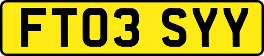 FT03SYY
