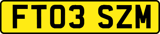 FT03SZM