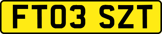 FT03SZT