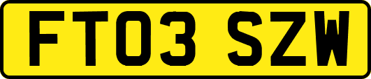 FT03SZW