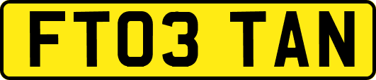 FT03TAN