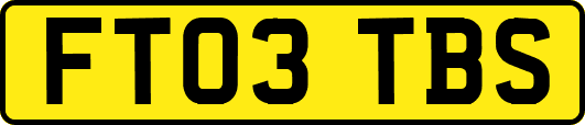FT03TBS