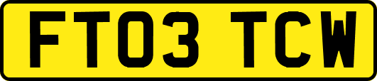 FT03TCW