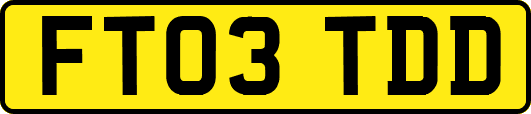 FT03TDD