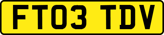 FT03TDV