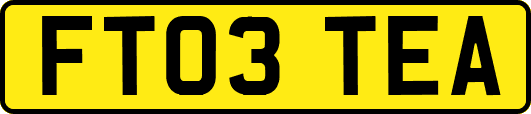 FT03TEA