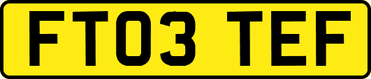 FT03TEF