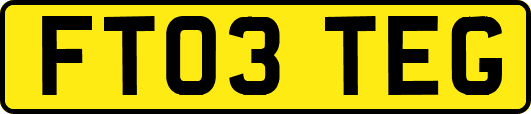 FT03TEG