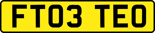 FT03TEO