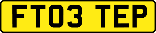 FT03TEP