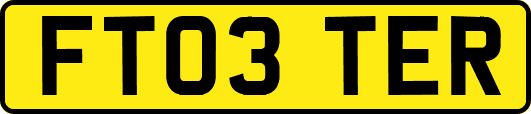 FT03TER