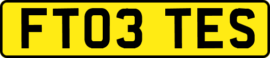 FT03TES