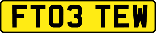 FT03TEW