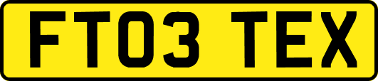 FT03TEX