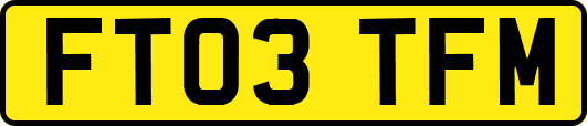 FT03TFM