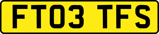 FT03TFS