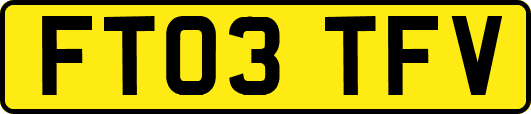 FT03TFV