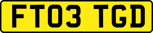 FT03TGD