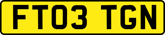 FT03TGN