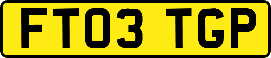 FT03TGP