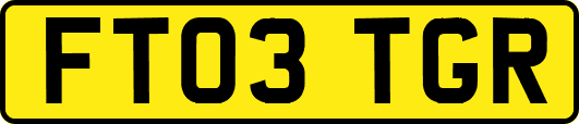 FT03TGR