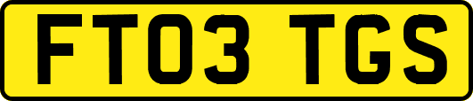 FT03TGS