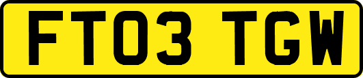 FT03TGW