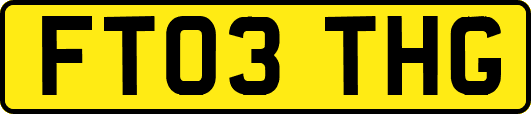FT03THG