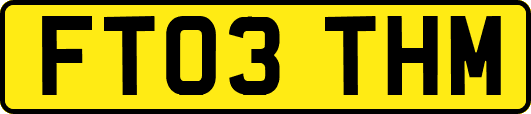 FT03THM