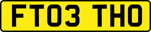 FT03THO