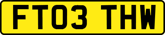 FT03THW