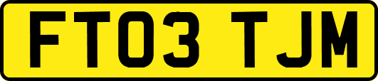 FT03TJM