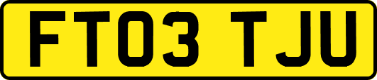 FT03TJU