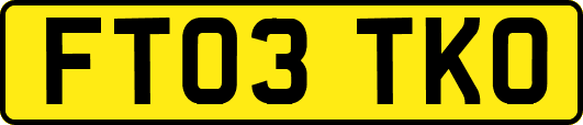 FT03TKO