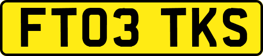 FT03TKS