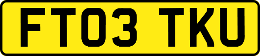 FT03TKU