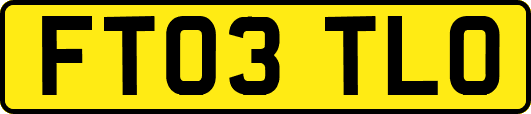 FT03TLO