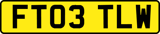 FT03TLW