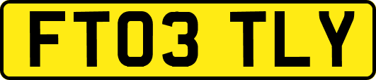 FT03TLY